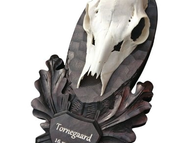 Veletableret niche webshop med Jagtudstyr - omsætning 404 t. kr. med stor organisk salg.