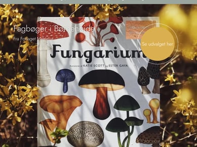Eventyrlig Leg - Webshop med økologisk og bæredygtig legetøj