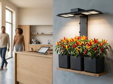 Aktiv kommerciel partner søges til dansk brand med internationalt potentiale