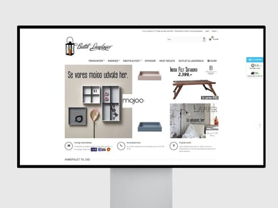 Webshop med brugskunst og designprodukter - Organisk trafik 27,93% - Overskud før skat: 170.000 DKK