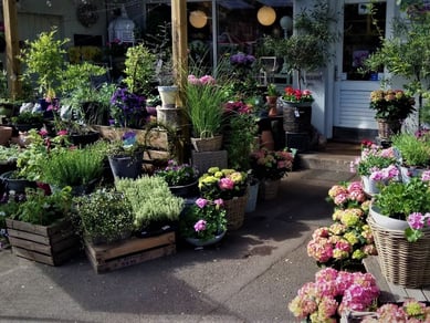 Unik Blomsterforretning stærk i fremdrift sælges. 