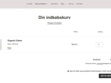 Drømmer du om at drive din egen kreative webshop?