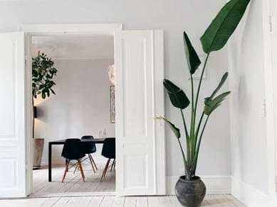 Stueplante og krukke webshop 