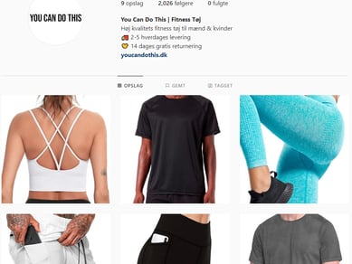 Salgsklar dropshipping fitness webshop med 2-5 dages levering, 200+ produkter