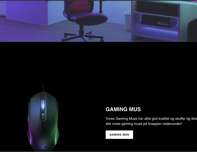 GameToday.dk - Dropship Gaming Webshop ( 4-5* avance )