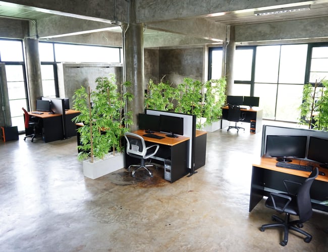 Fuldservice digitalt bureau indenfor web udvikling, design og grafik, SEO, Adwords, Facebook annoncering og m.m.