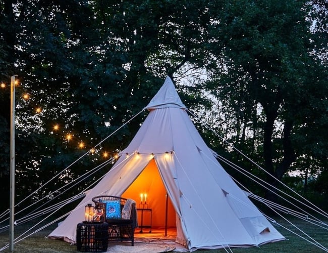 Webshop indenfor have - E-mærket og 4,9 på trustpilot med 550 anmeldelser