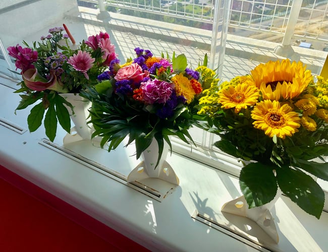 Partner søges til 50% af handels / importvirksomhed med salg til hospitaler