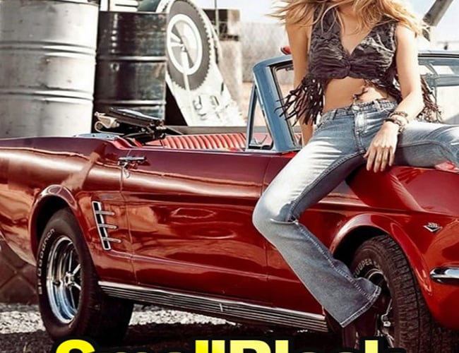 SmallBlock.dk - Eksisteret siden 1999 - Salg af veteranbiler