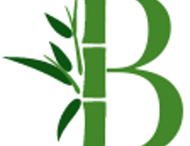 Bambii.dk søger kapital til udvidelse af varerlager og øget budget til markerting 