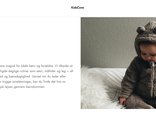 Spændende dropshipping webshop med salg af børneudstyr