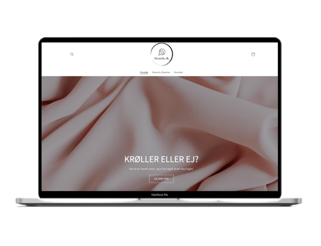 Steamly.dk | Webshop med salg af Steamers med dropshipping leverandør i EU | 100% køreklar