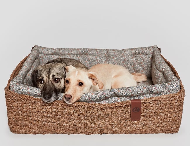 luksushund.dk - Lækre produkter til hunden, omsætning 900.000 siden åbning i januar.