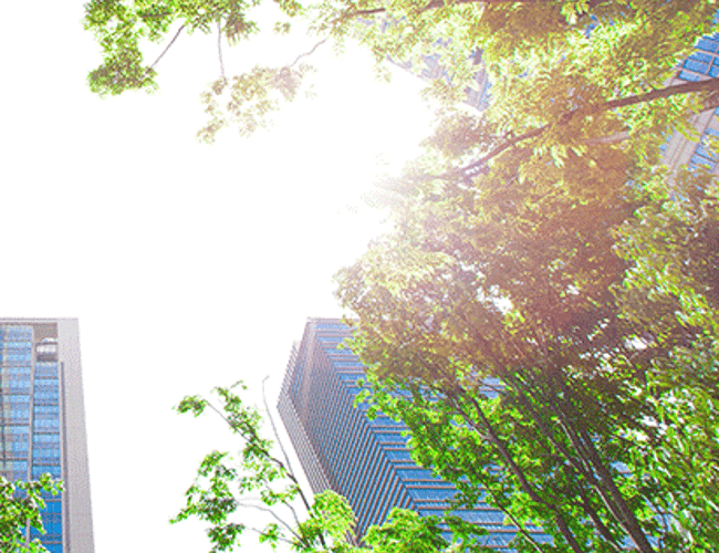 App, backend + frontend til 1/2 mill. med forretningsplan og samarbejdsaftaler + internationalt potentiale.