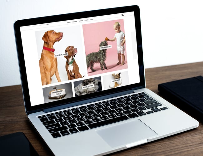 luksushund.dk - Lækre produkter til hunden, omsætning 900.000 siden åbning i januar.