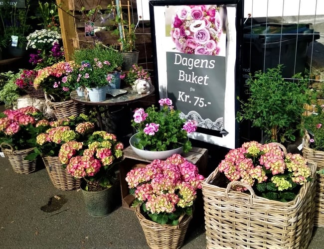 Unik Blomsterforretning stærk i fremdrift sælges. 