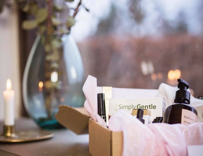 Webshop - Abonnementsforretning til gravide og nybagte mødre - Årlig omsætning på 720.000 kr.