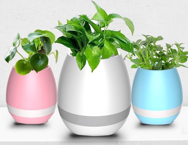 Stilren niche webshop - Multifunktions produkt med mange muligheder.