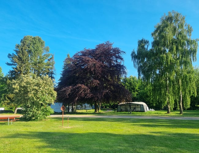 Vicevært -forpagter-bestyrer på Campingplads