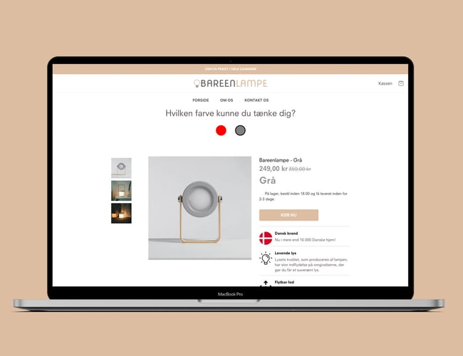 Køreklar dropshipping side med kæmpe potientale