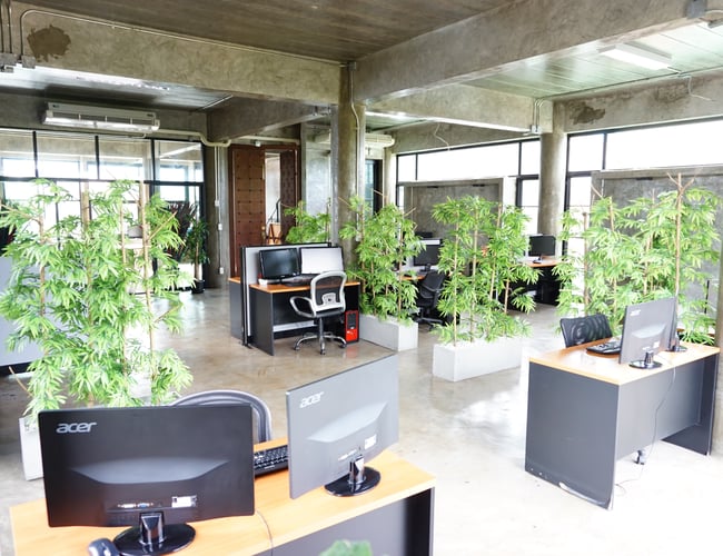 Fuldservice digitalt bureau indenfor web udvikling, design og grafik, SEO, Adwords, Facebook annoncering og m.m.