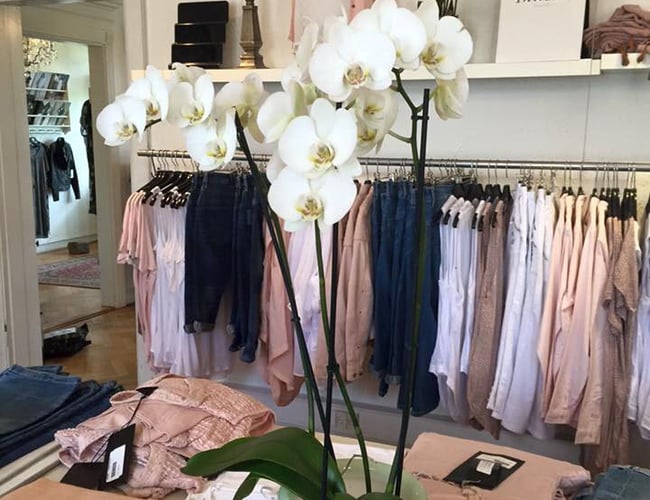 Modehus samt Webshop