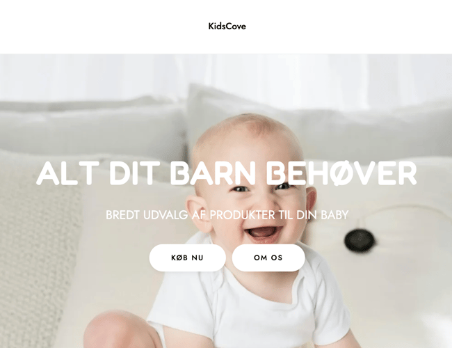 Spændende dropshipping webshop med salg af børneudstyr