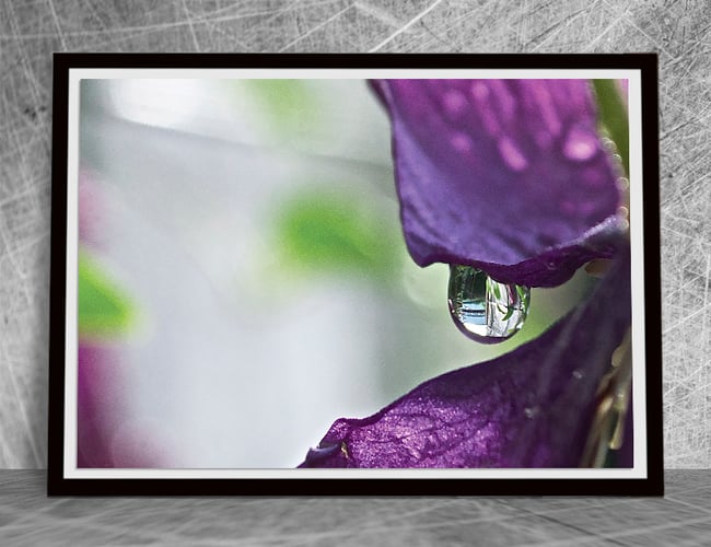 Partner søges til webshop (print on demand) med stor efterspørgsel