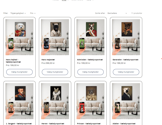 Webshop - Unik plakatvirksomhed - 335.000 kr i omsætning