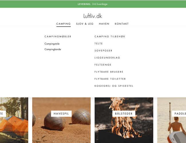 Dropship Webshop med omsætning.