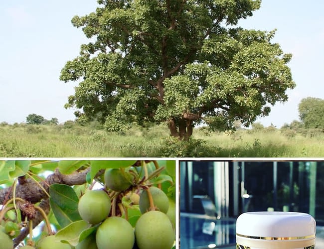 Webshop - Vegansk Naturkosmetik fra Namibia