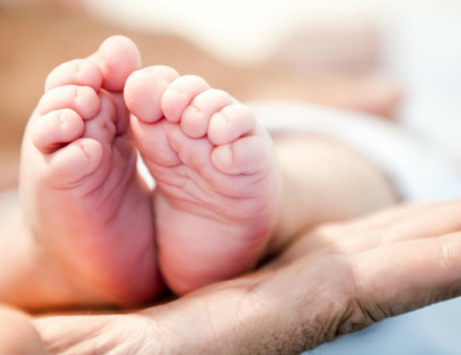 Flytbar grossistvirksomhed - eksklusivitet - direkte salg og b2b webshop 