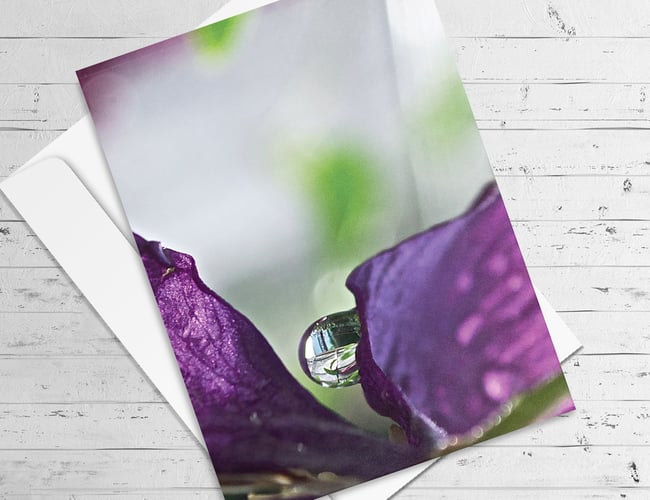 Partner søges til webshop (print on demand) med stor efterspørgsel