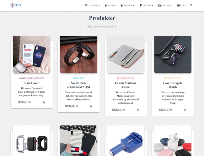 shop.teur.dk - Passiv dropshipping webshop med accessories