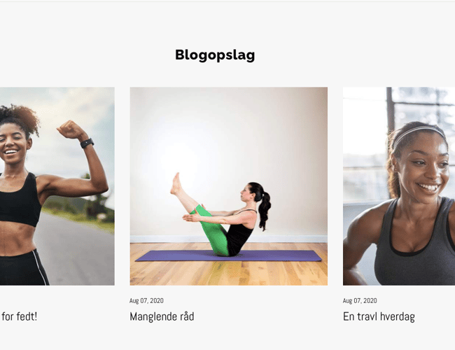 Køreklar dropshipping Webshop med alt klar til dig