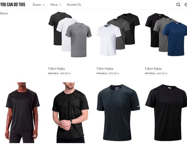 Salgsklar dropshipping fitness webshop med 2-5 dages levering, 200+ produkter