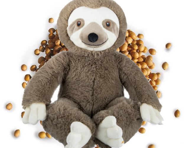 Webshop med daglige salg - omsætter 100.000 kr. om året i organisk salg.