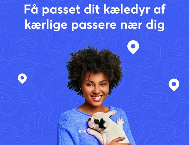 Petsbnb - en platform for pasning af kæledyr for dyreejere og dyrepassere