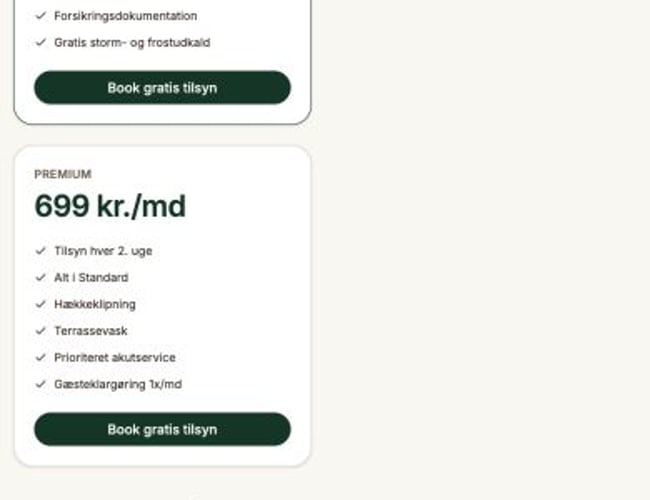 Nøglefærdigt sommerhusservice-koncept – klar til lancering