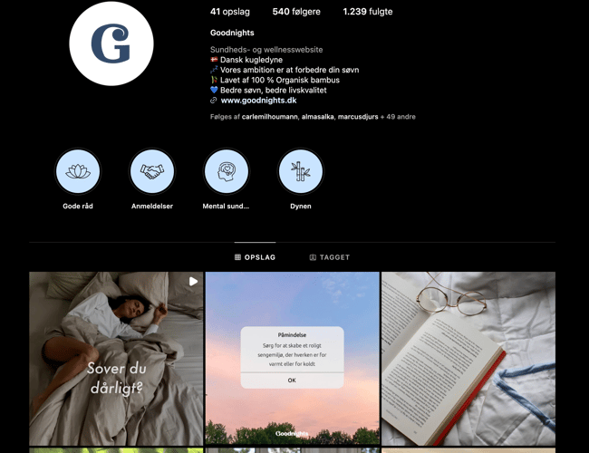 Veletableret webshop med salg af tyngdedyner