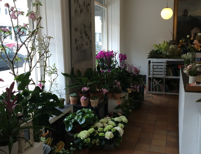 Attraktiv beliggende hjørnebutik i indre København