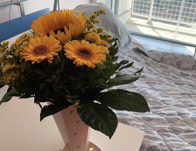 Partner søges til 50% af handels / importvirksomhed med salg til hospitaler