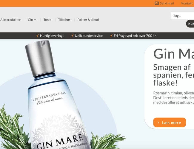 Gins.dk - Gin webshop med organisk trafik, der omsat for + 250.000 i 2019. 