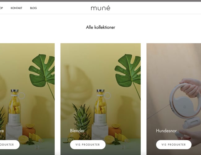 Webshop med stort vækstpotentiale sælges m. varelager - Omsætning på 25.000 kr. den første måned. 
