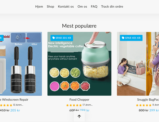 Dropshipping butik med omsætning