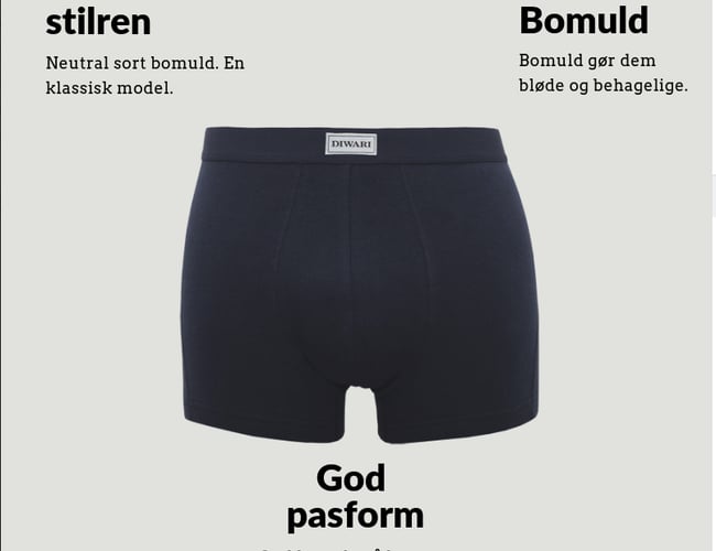Webshop med salg af boxershorts og sokker på abonnement - omsat for 17.500 kr. 