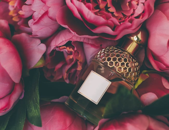 Kendt webshop indenfor skønhed og pleje til salg - 5 stjerner på trustpilot!