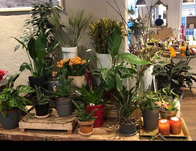 Blomsterbutik til afståelse