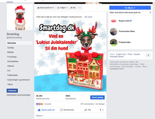 Smartdog.dk - SEO-optimeret webshop med overskud - 2,6 mio. omsætning