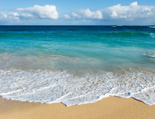 Lokalt rejsebureau med spændende koncept 